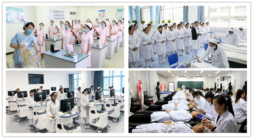 1648799697557003450.png 图片 6_副本1.png