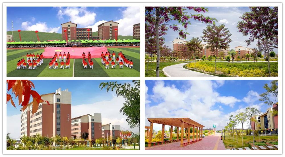 1648799814722066390.png 图片 6_副本.png